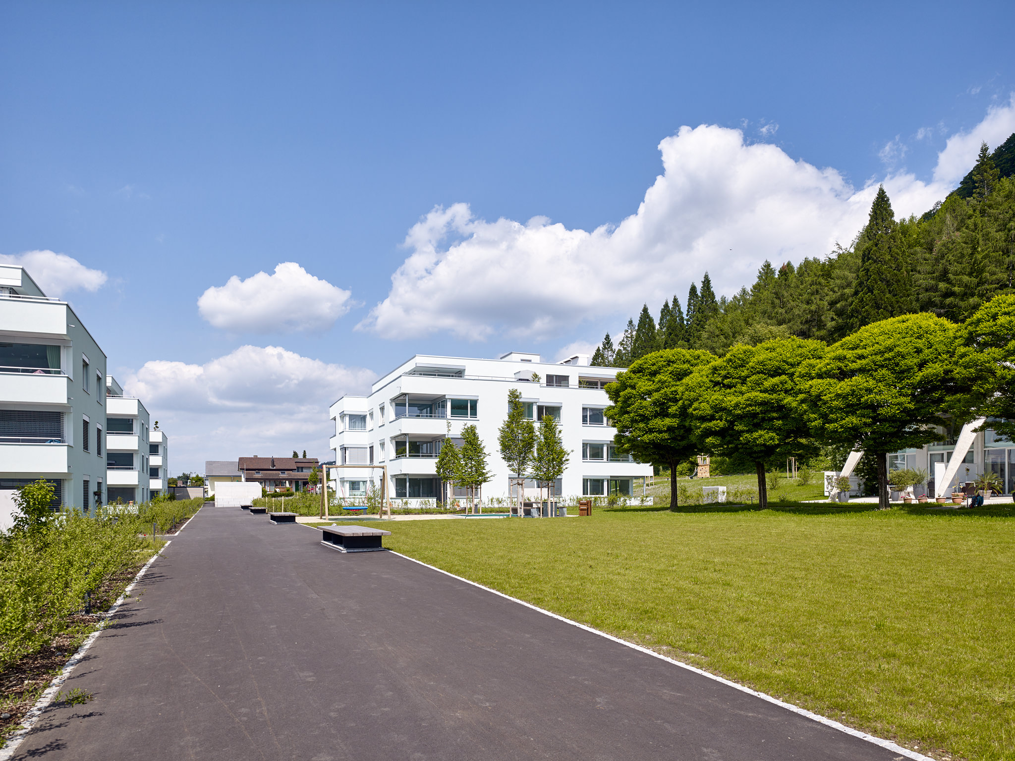 E15551 Alpa 051145 SCREEN